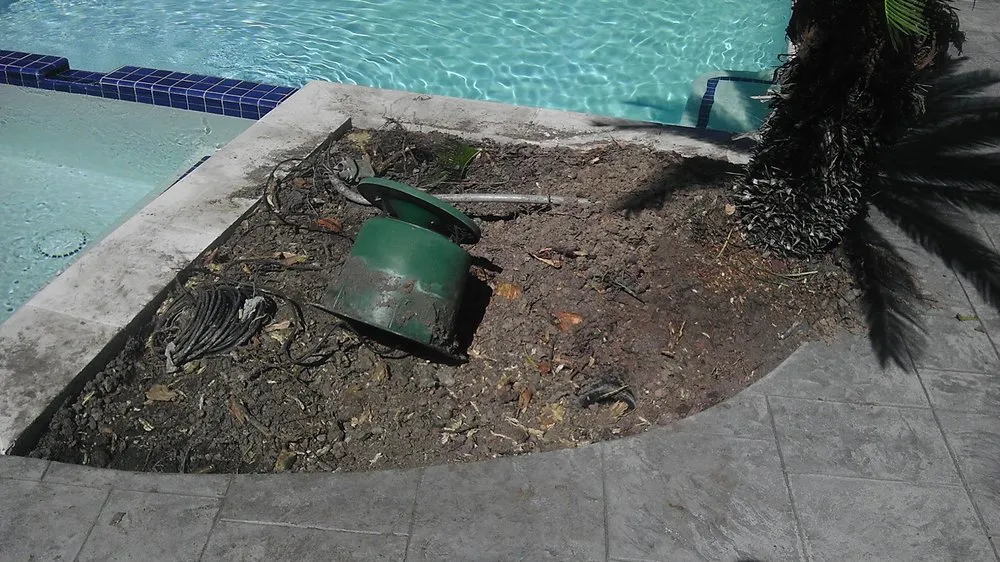 Custom landscaping services experts serving Katy, TX - Living Trees & Shrubs