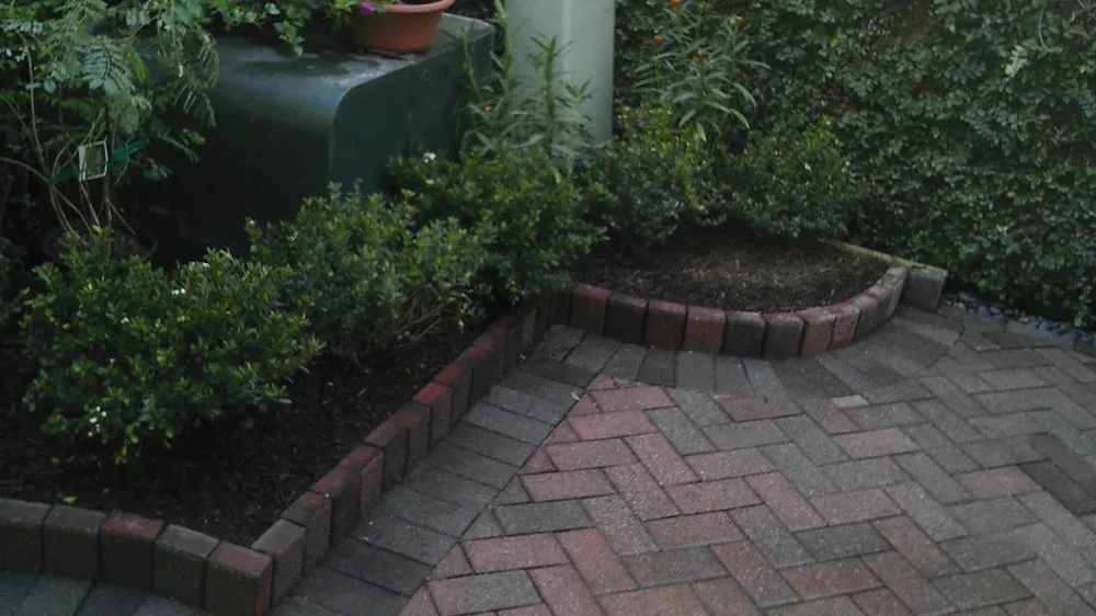 Top-rated lawn mowing service for year-round maintenance in Katy, TX by Living Trees & Shrubs