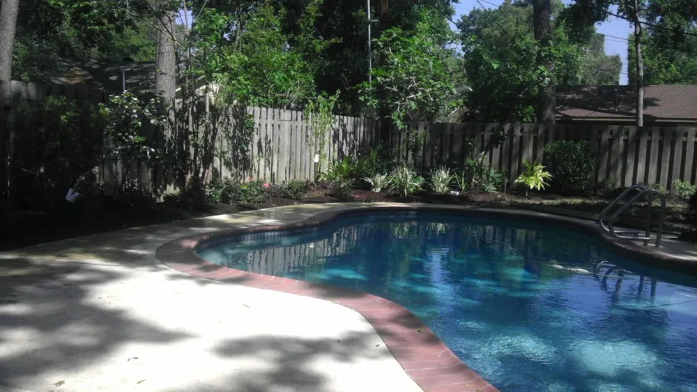 Expert yard cleanup service experts serving Katy, TX - Living Trees & Shrubs
