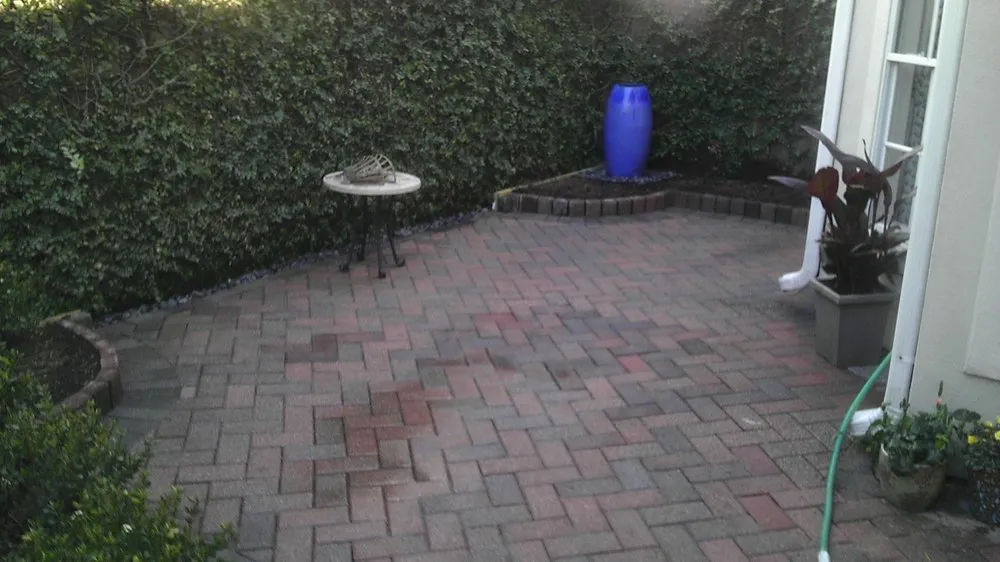 Reliable lawn mowing service in Katy, TX by Living Trees & Shrubs