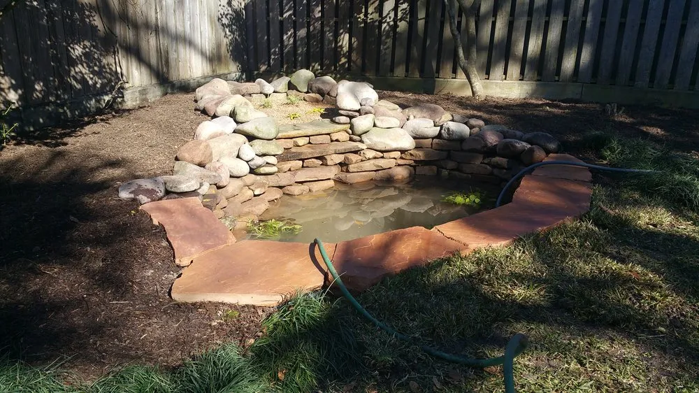 Affordable garden landscaping in Katy, TX - Living Trees & Shrubs