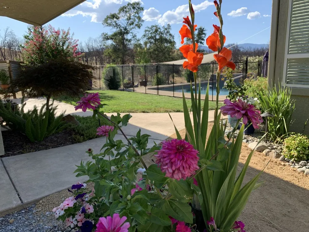 Custom outdoor landscaping in Redding, CA by Living Water Landscape & Design