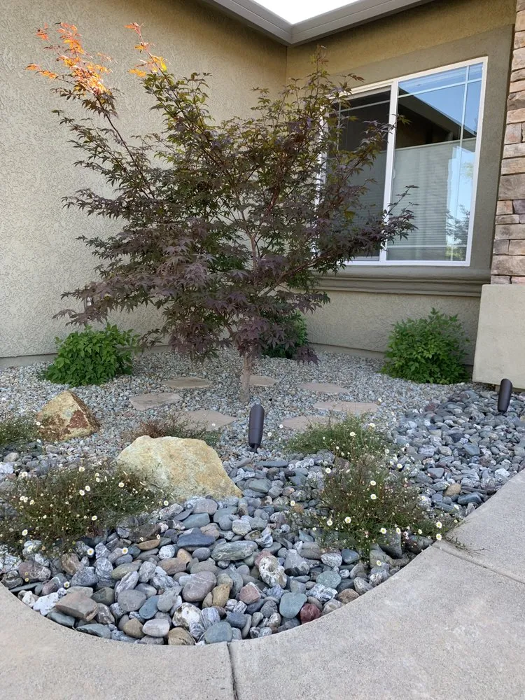 Custom yard cleanup service in Redding, CA by Living Water Landscape & Design