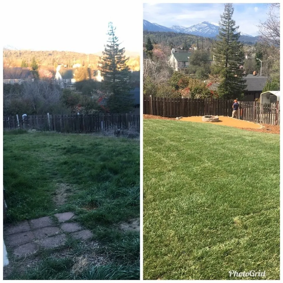 Local yard cleanup service in Redding, CA - Living Water Landscape & Design