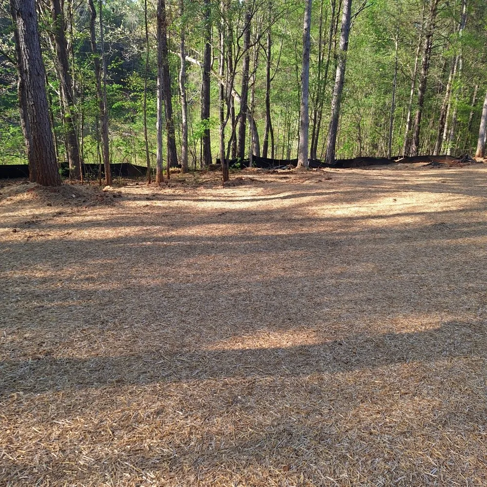 Professional lawn care service in Madison, GA - Living Water Landscape and Lawn Care