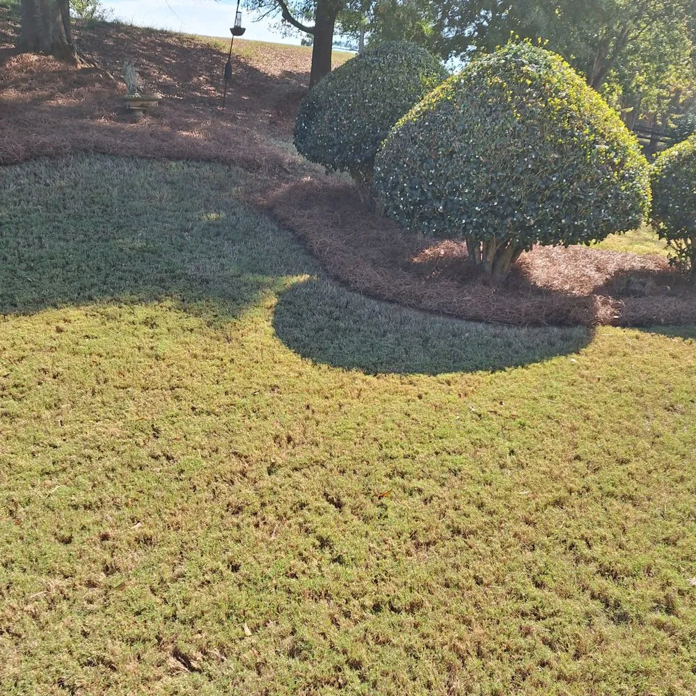 Local residential landscaping in Madison, GA - Living Water Landscape and Lawn Care