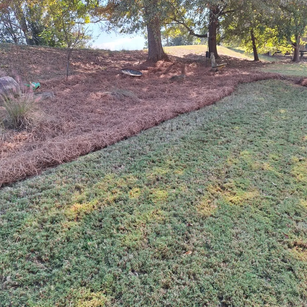 Reliable residential landscaping experts serving Madison, GA - Living Water Landscape and Lawn Care