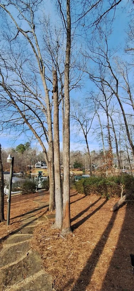 Trusted landscape installation for residential properties in Madison, GA by Living Water Landscape and Lawn Care