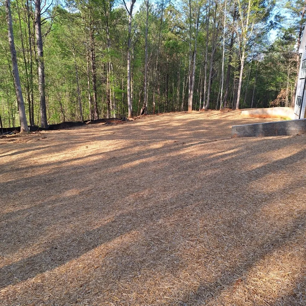 Expert yard maintenance in Madison, GA by Living Water Landscape and Lawn Care