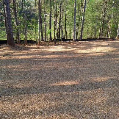 Living Water Landscape and Lawn Care