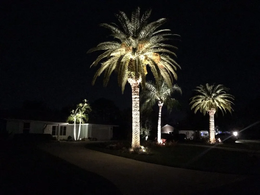 Affordable yard cleanup service near you in Palm City, FL by Living Water Landscape