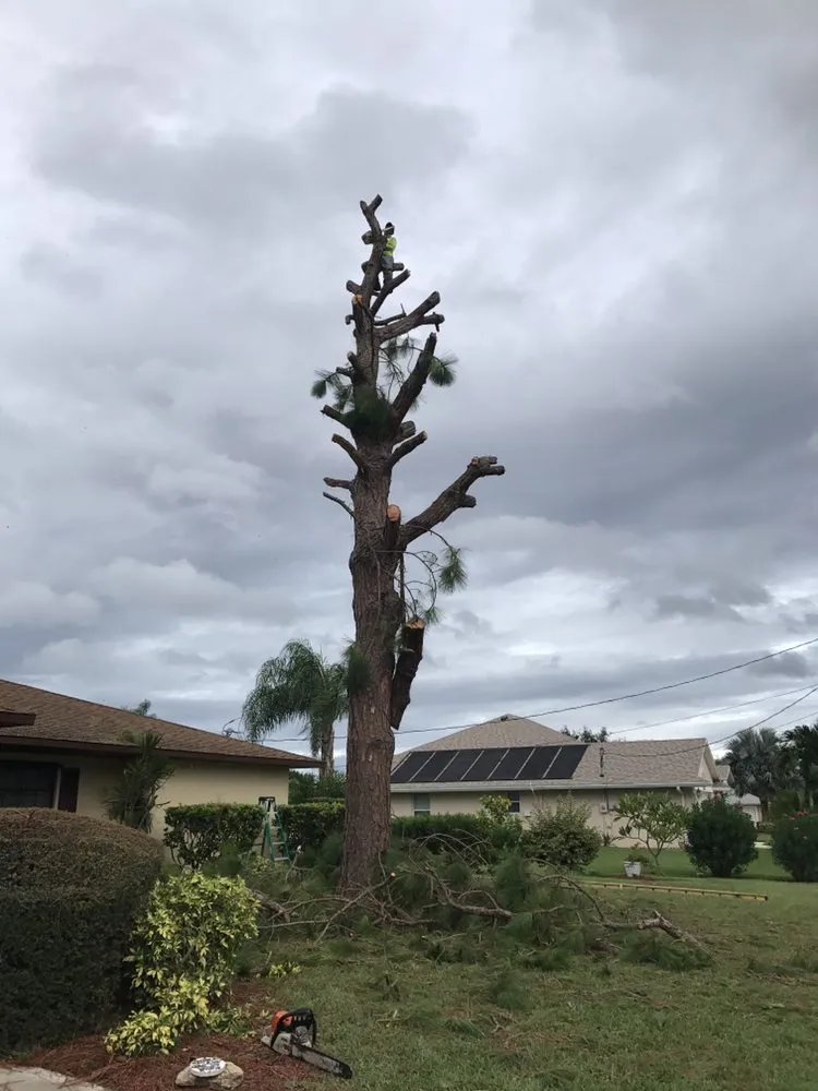 Reliable landscaping services in Palm City, FL by Living Water Landscape