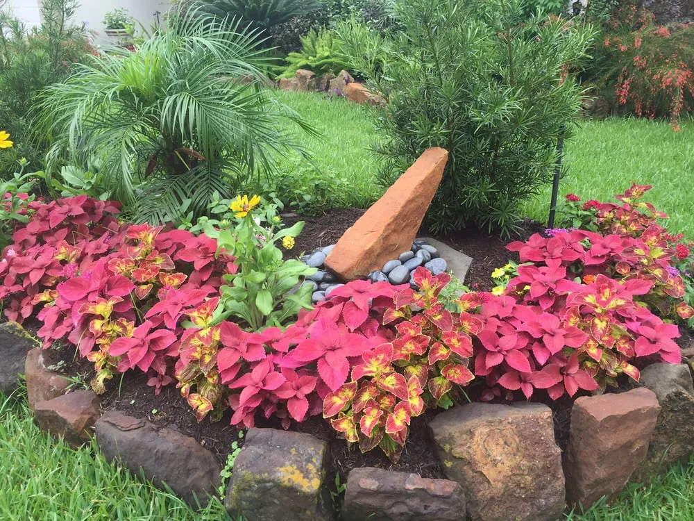 Affordable residential landscaping in Houston, TX - Living Water Landscaping