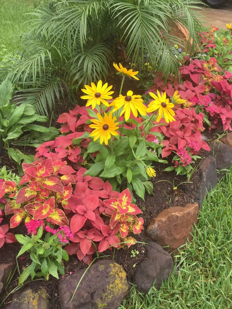 Affordable outdoor landscaping in Houston, TX - Living Water Landscaping