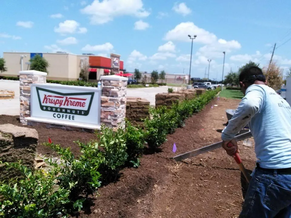 Professional lawn care service near you across Katy, TX - Living Water Landscaping