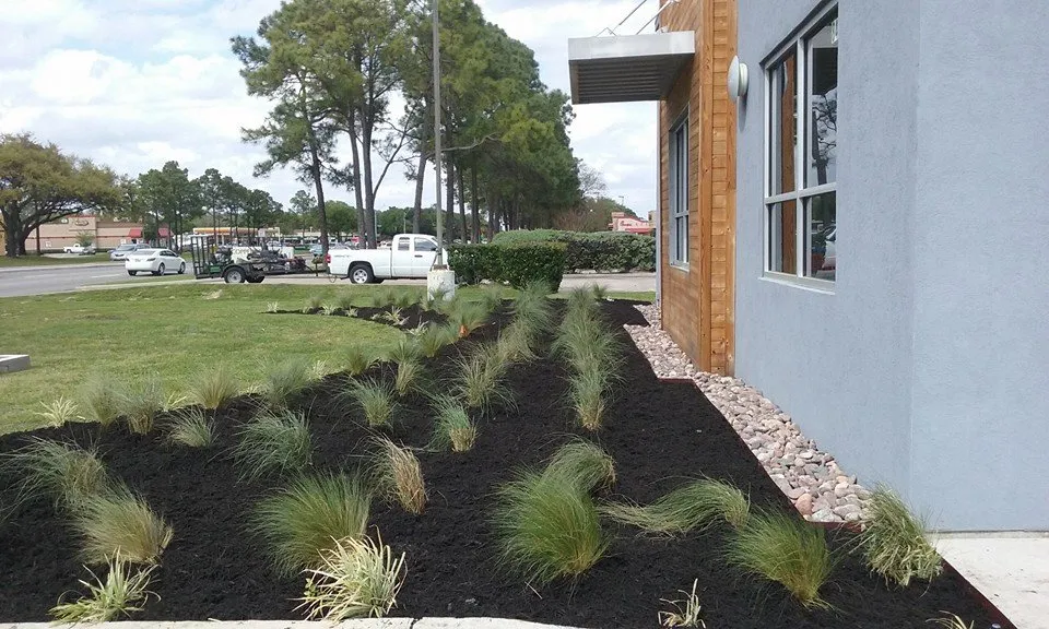 Professional outdoor landscaping for residential properties across Katy, TX - Living Water Landscaping