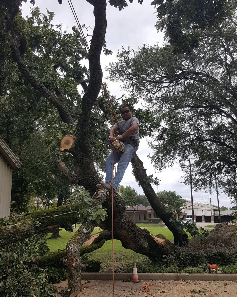 Local landscaping services for beautiful yards in Katy, TX by Living Water Landscaping