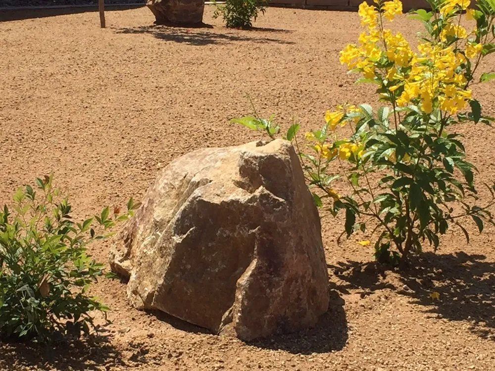 Expert lawn mowing service in Menifee, CA - Living Water Landscaping