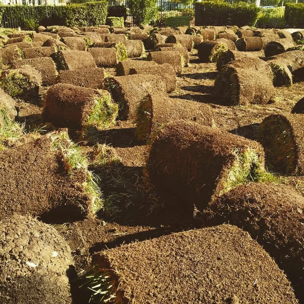 Local yard maintenance for homes across Menifee, CA - Living Water Landscaping