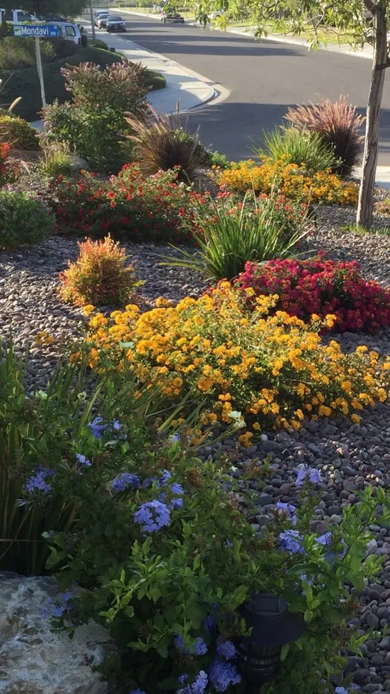 Trusted residential landscaping near you in Menifee, CA by Living Water Landscaping