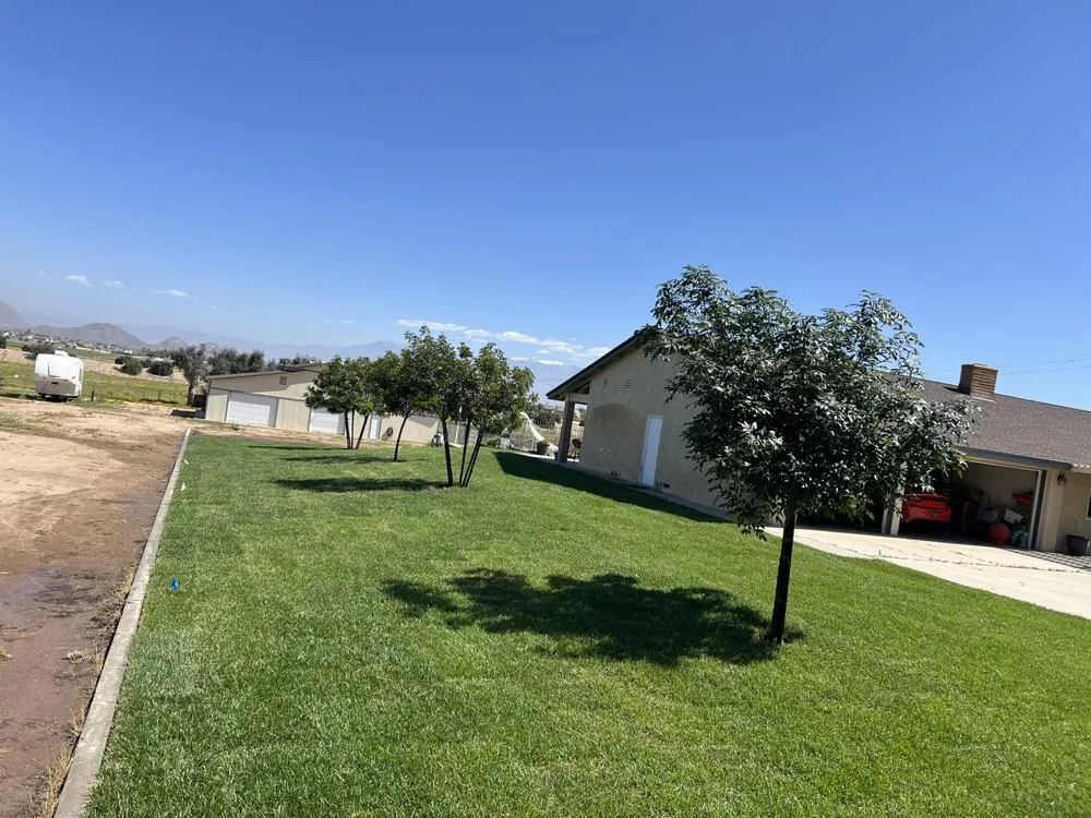 Affordable yard cleanup service experts serving Menifee, CA - Living Water Landscaping