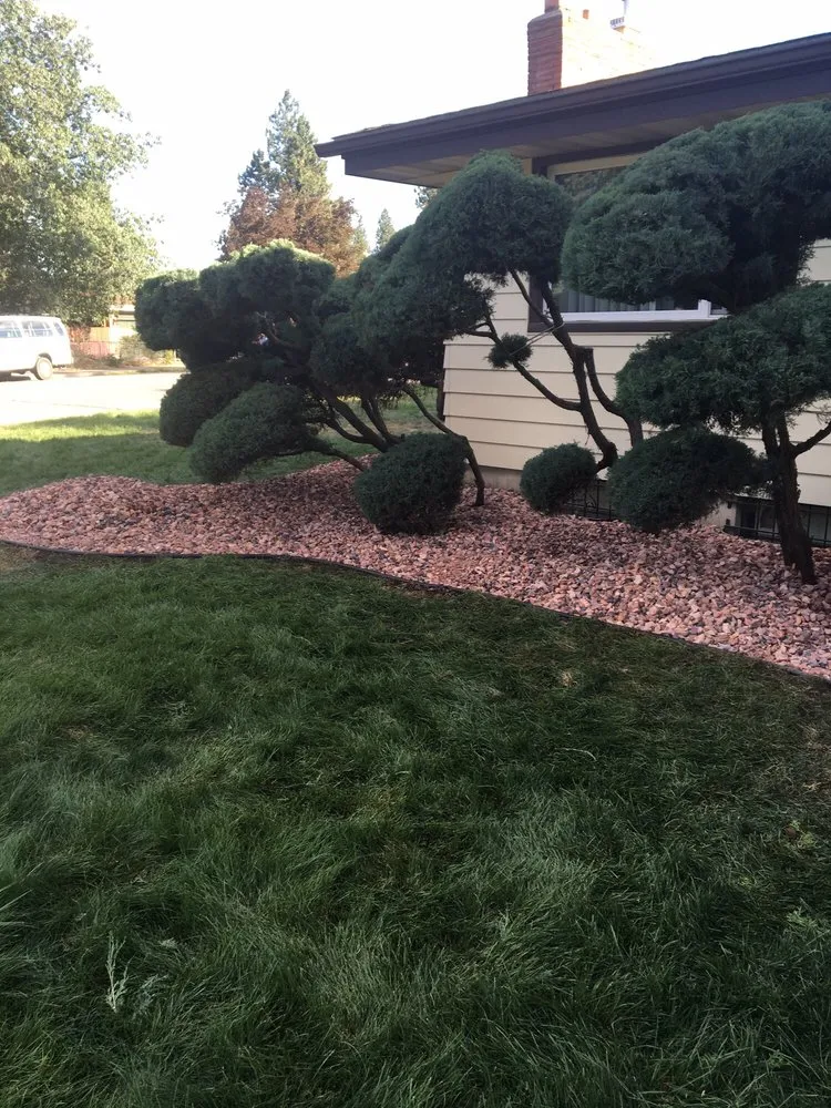 Trusted landscaping services for year-round maintenance in Spokane, WA by Living Water Lawn & Tree Care