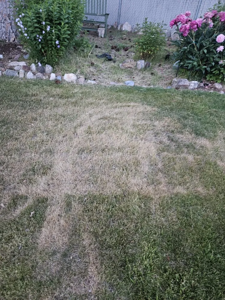 Local residential landscaping near you across Spokane, WA - Living Water Lawn & Tree Care