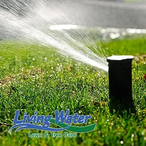 Affordable outdoor landscaping in Spokane, WA - Living Water Lawn & Tree Care
