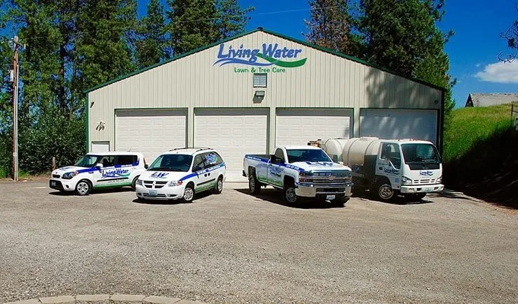 Custom yard cleanup service for year-round maintenance across Spokane, WA - Living Water Lawn & Tree Care