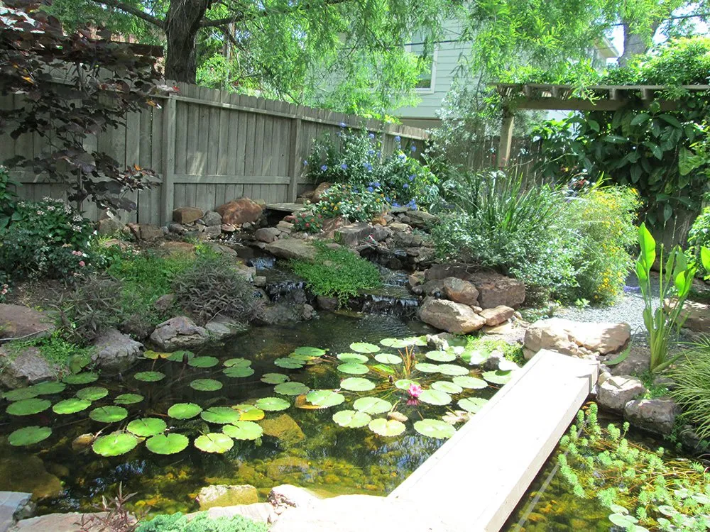 Local landscaping services for year-round maintenance across Spring, TX - Living Water