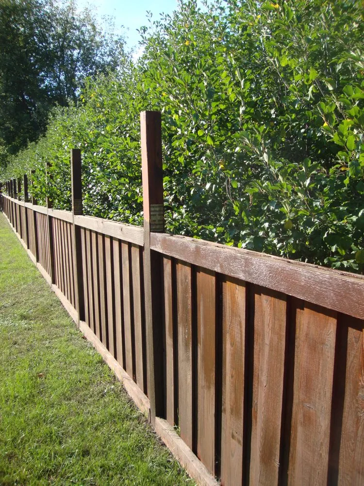 Custom lawn care service in Andover, MN by Living Water Tree Service