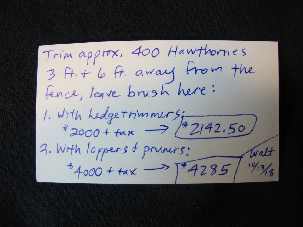 Custom yard cleanup service for homes across Andover, MN - Living Water Tree Service