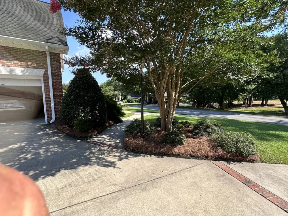 Trusted landscape installation for beautiful yards in Pelion, SC by Living Waters Irrigation & Landscaping