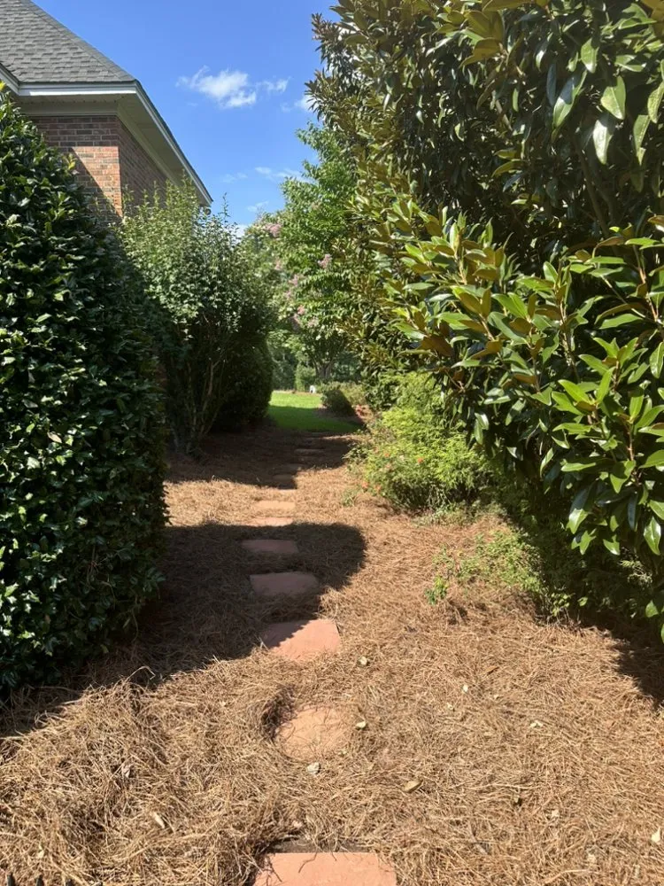 Expert yard maintenance experts serving Pelion, SC - Living Waters Irrigation & Landscaping