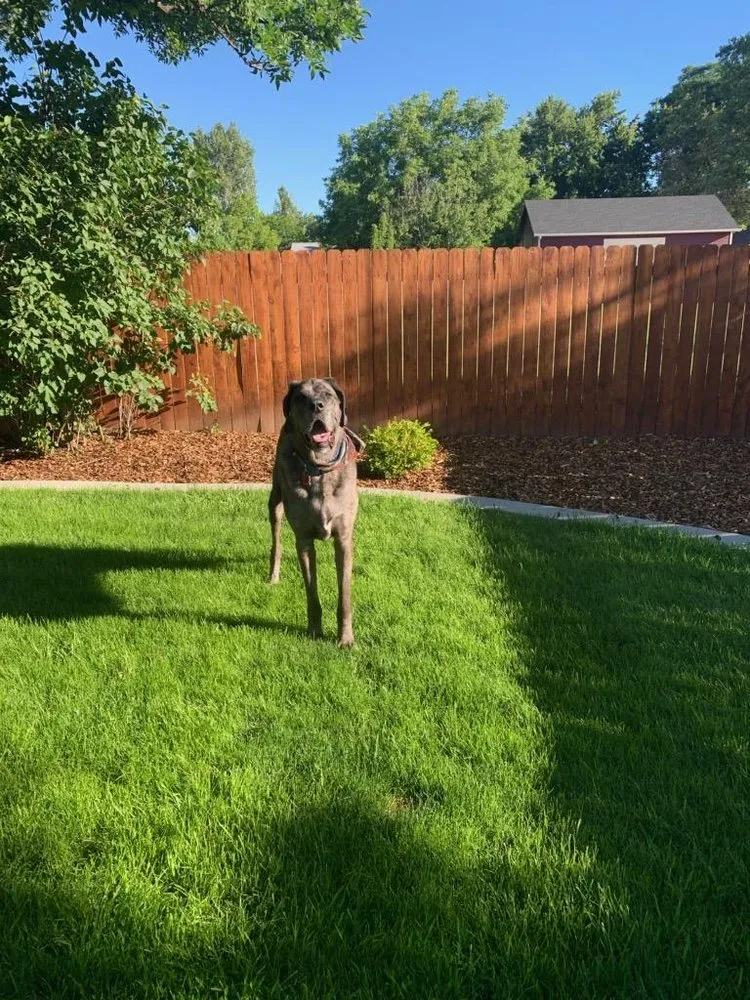 Professional garden landscaping experts serving Meridian, ID - Living Waters Landscape