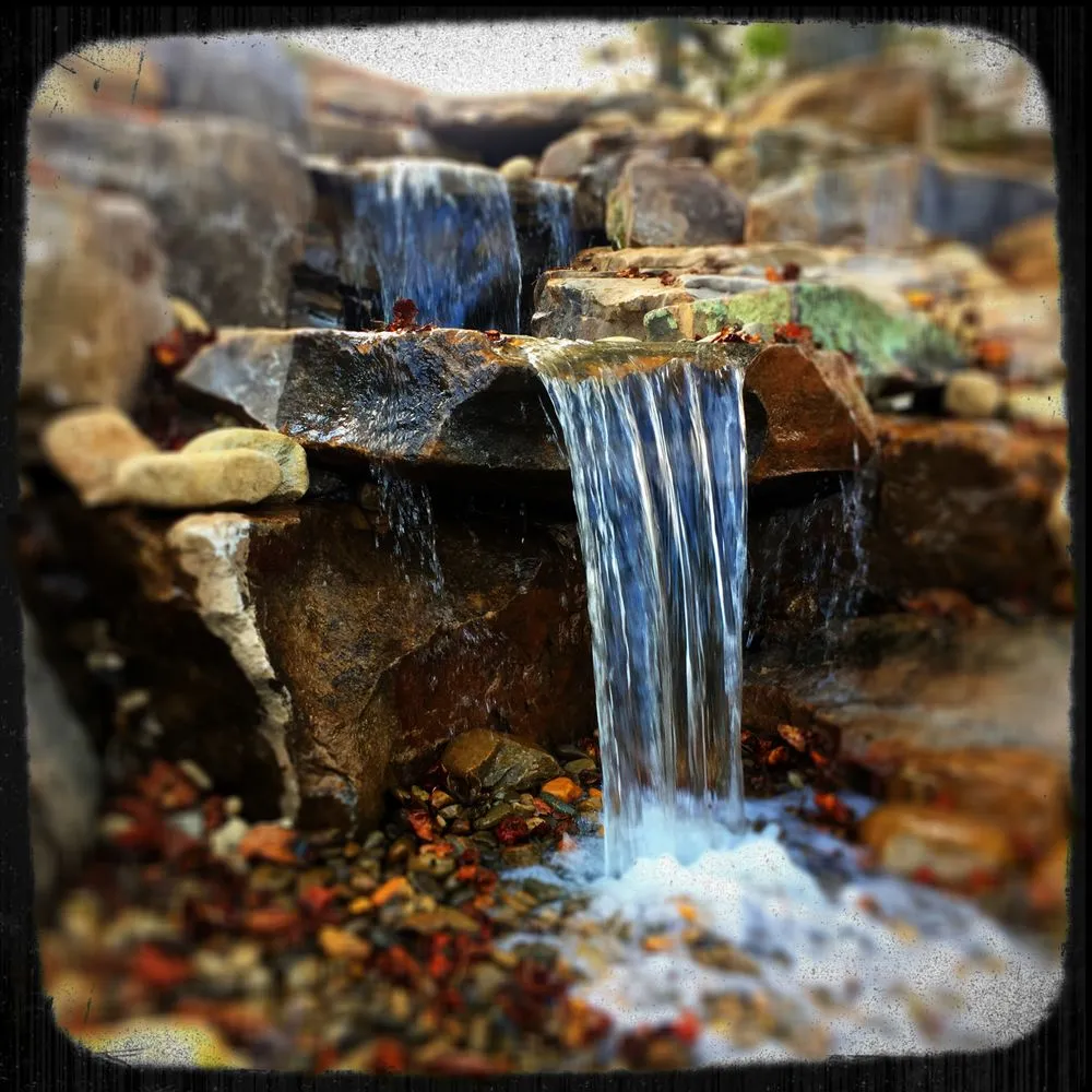 Trusted landscaping services near you in Asheville, NC by Living Waters Landscaping