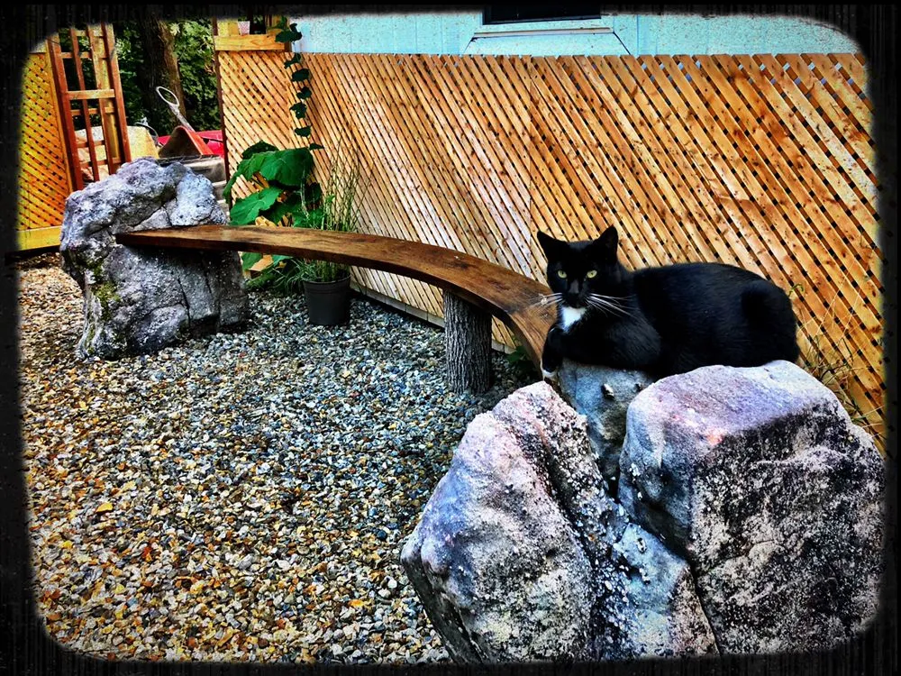 Reliable garden landscaping experts serving Asheville, NC - Living Waters Landscaping