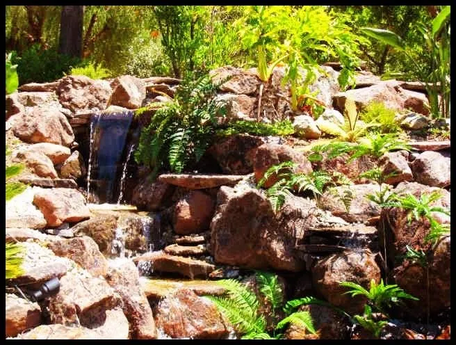 Reliable lawn care service experts serving Asheville, NC - Living Waters Landscaping