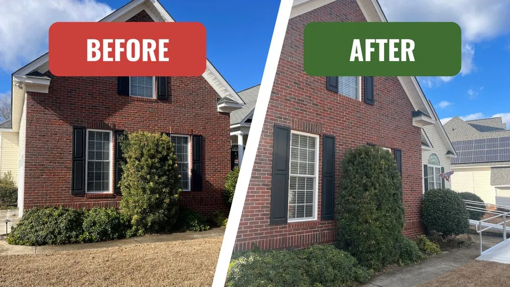 Local yard cleanup service experts serving Lexington, SC - Living Waters Lawn Care