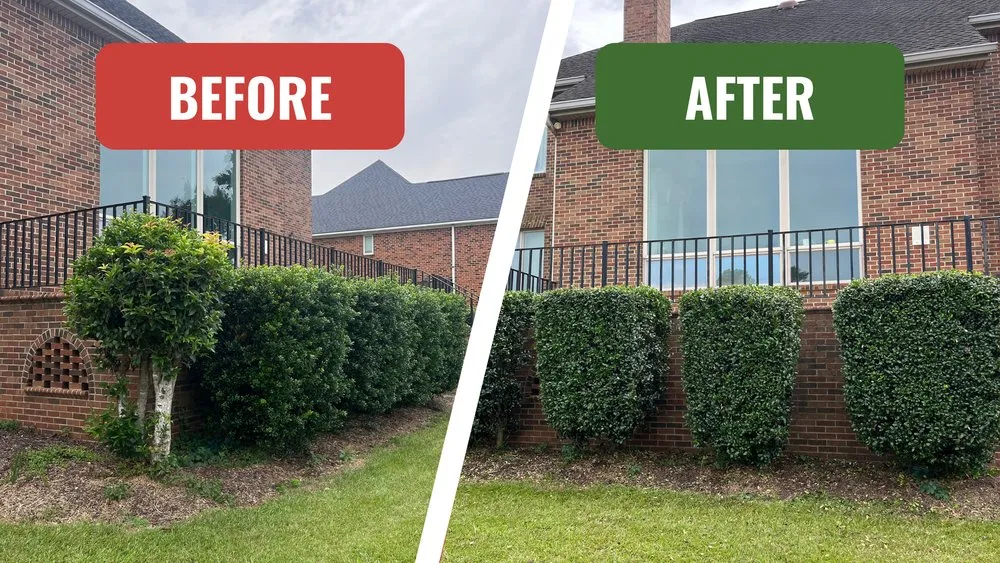 Expert residential landscaping experts serving Lexington, SC - Living Waters Lawn Care