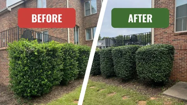 Living Waters Lawn Care Logo