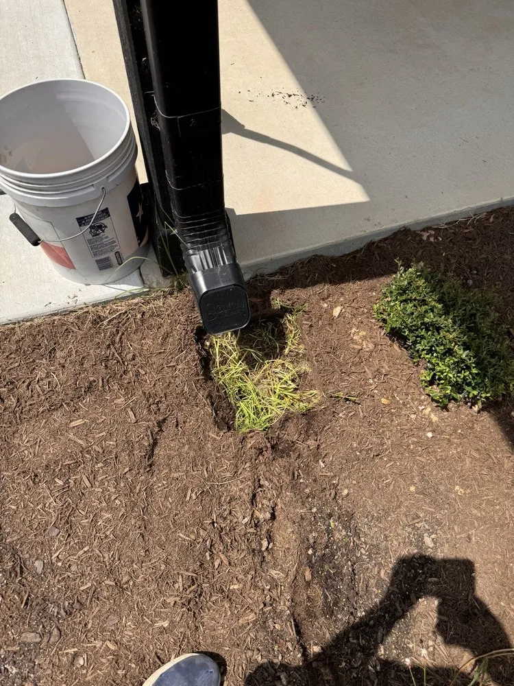 Professional lawn mowing service in Conroe, TX by Living Wild