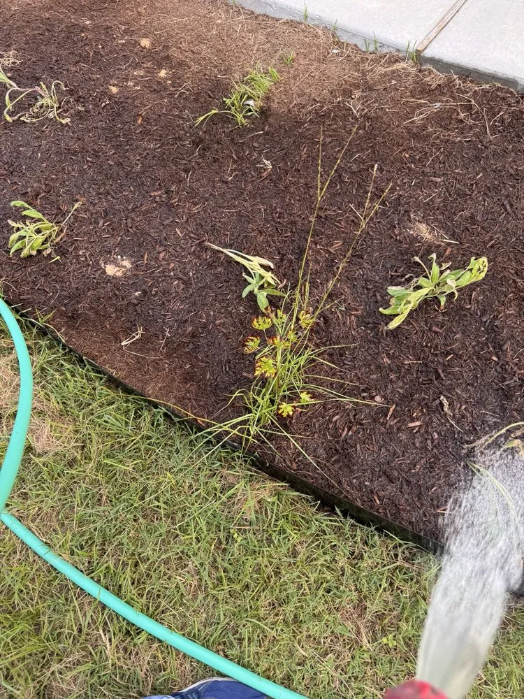 Expert yard maintenance for beautiful yards across Conroe, TX - Living Wild