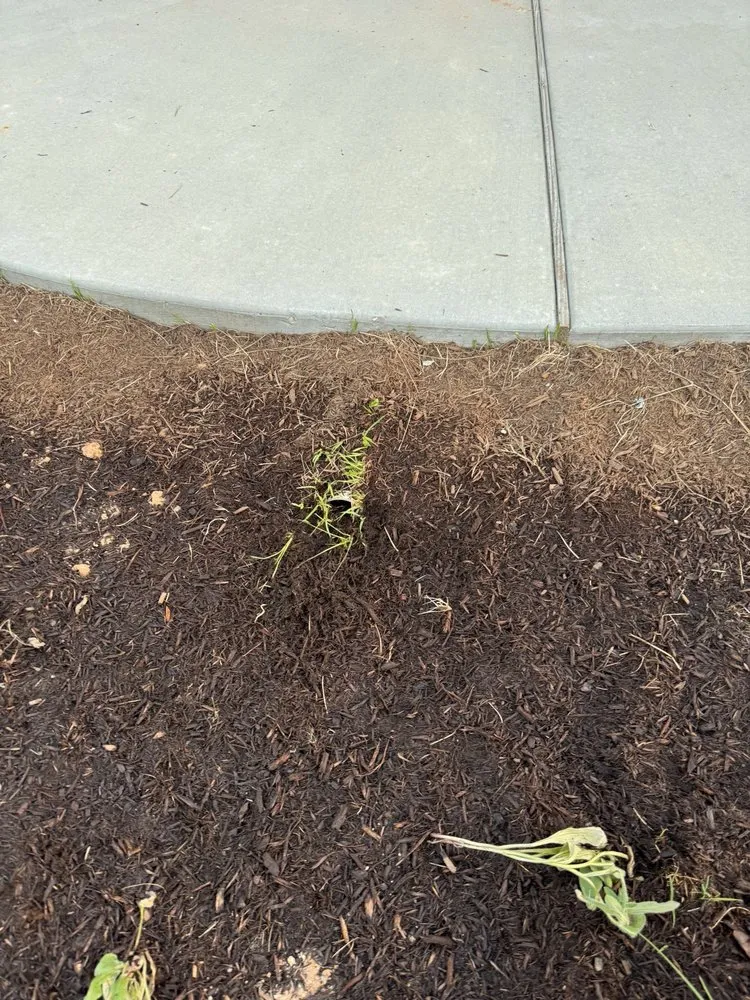 Reliable outdoor landscaping in Conroe, TX by Living Wild