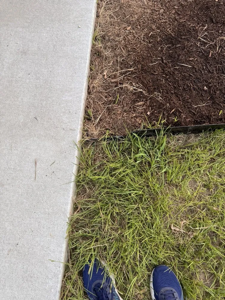 Reliable outdoor landscaping near you in Conroe, TX by Living Wild