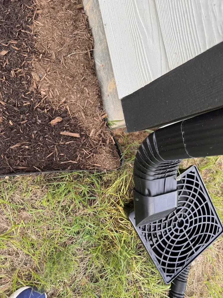 Local yard cleanup service experts serving Conroe, TX - Living Wild