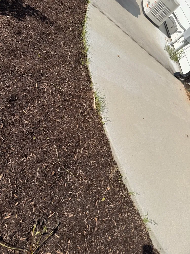 Expert lawn mowing service for outdoor upgrades across Conroe, TX - Living Wild