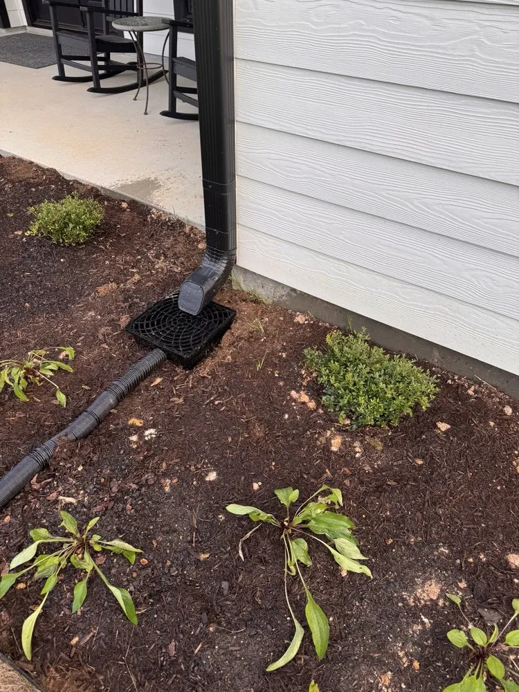 Local landscaping services near you in Conroe, TX by Living Wild