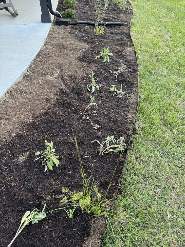 Top-rated residential landscaping in Conroe, TX by Living Wild