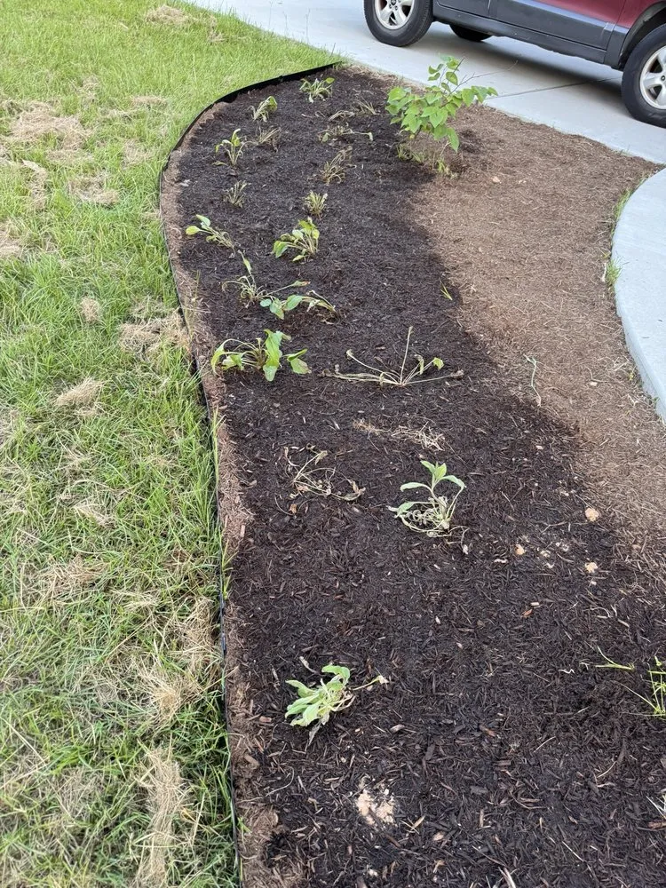 Trusted outdoor landscaping in Conroe, TX - Living Wild